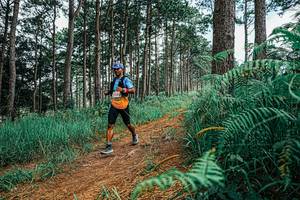 BIB: 
                            <button type="button" onclick="openModal(25690992)" class="btn btn-primary btn-sm float-right btn-popup" data-toggle="modal" data-target=".modal-high-quality">
                        <i class="fas fa-shopping-cart"></i> Add to Cart
                    </button>
                                            <button type="button" onclick="isThisMe(25690992, true)" class="btn btn-success btn-sm float-right btn-popup btn-isme hidden" data-toggle="tooltip" data-placement="bottom" title="นี่คือรูปของคุณใช่ไหม คลิกที่นี่เพื่อเอาเข้าอัลบั้ม">
                        <i class="fas fa-plus"></i> Add to album
                    </button>
                    <button type="button" onclick="isThisMe(25690992, false)" class="btn btn-warning btn-sm float-right btn-popup btn-isnotme hidden">
                        <i class="fas fa-ban"></i> Remove from album
                    </button>